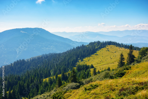 carpathian mountain ridge in summer. steep forested slopes. bright sunny weather © Pellinni