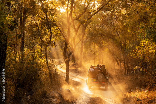 Afternoon safari Kanha National Park