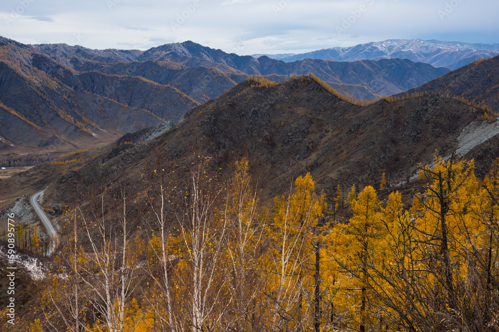 View of Altay mountains
