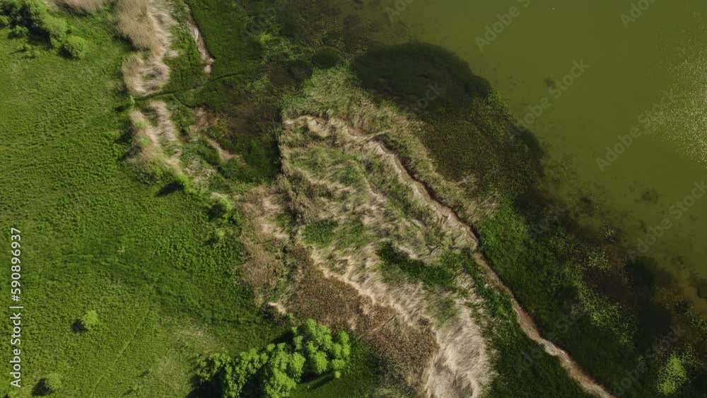 This drone video shows a beautiful lake surrounded by dense forest. The water on the lake is calm and transparent, reflecting the greenery of the trees and the blue sky. The shore of the lake is decor This drone video shows a beautiful lake surrounded by dense forest. The water on the lake is calm and transparent, reflecting the greenery of the trees and the blue sky. The shore of the lake is decor