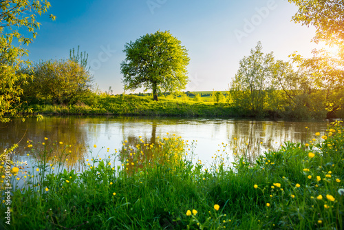 Perfect spring scene and morning meadow near the river with alone tree on the shore.