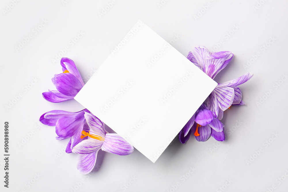 Composition with blank card and Saffron flowers on white background Composition with blank card and Saffron flowers on white background