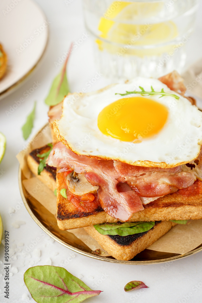 Delicious sandwich with fried egg and bacon on light background Delicious sandwich with fried egg and bacon on light background