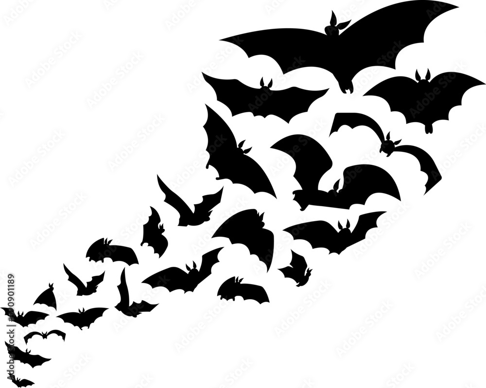 Halloween flying swarm bats, horror silhouette scary graphic. Animal vampires, isolated black gothic creepy creature. Mystical night decent vector background