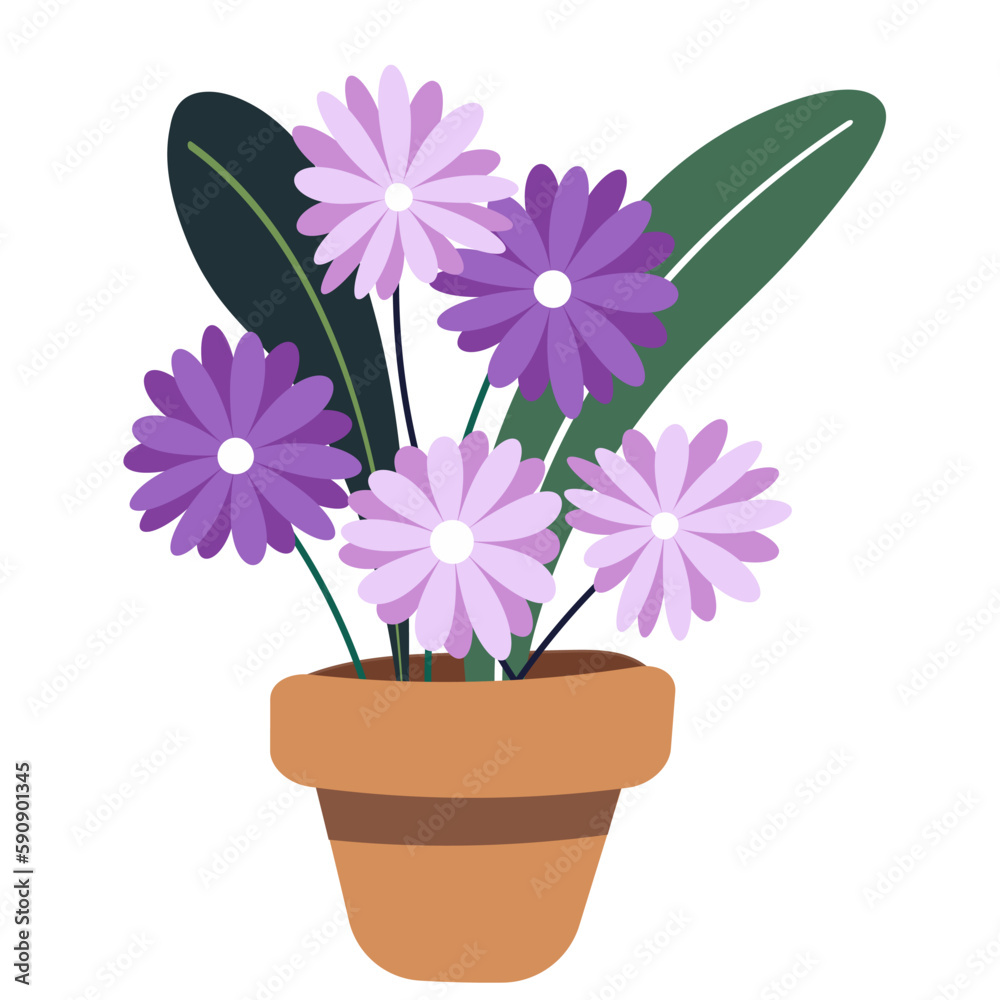 flowers in a pot flowers in a pot