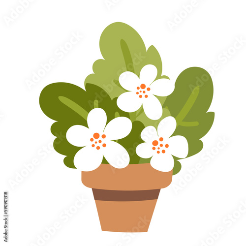 flowers in a pot