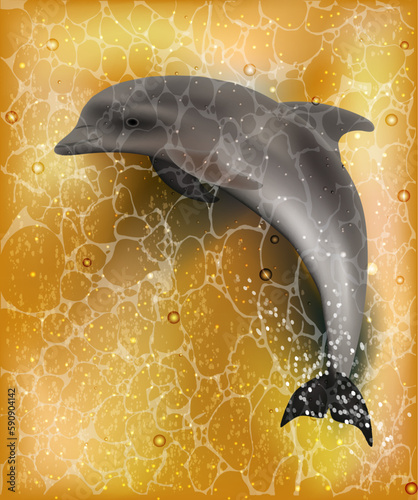Dolphin greeting summer card. vector illustration
