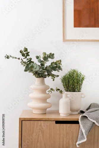 clay pot with plant on wood shelf in bedroom