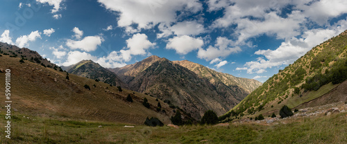 A beautiful camping meadow below the Aktash mountain pass on a trek in the Turkestan Mountains of Kyrgyzstan. photo