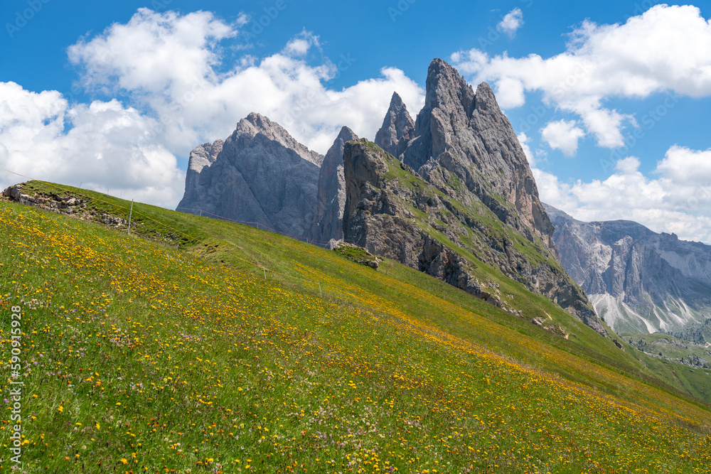 Seceda, Dolomites, Italy