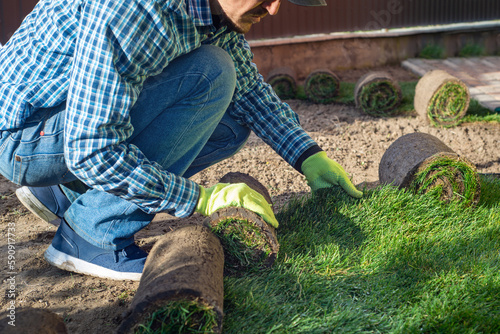 Landscape Gardener Laying Turf For New Lawn in the garden