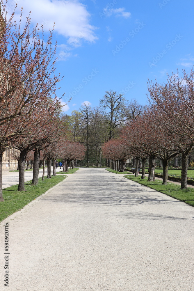 Allee. Parkallee. Parkweg.