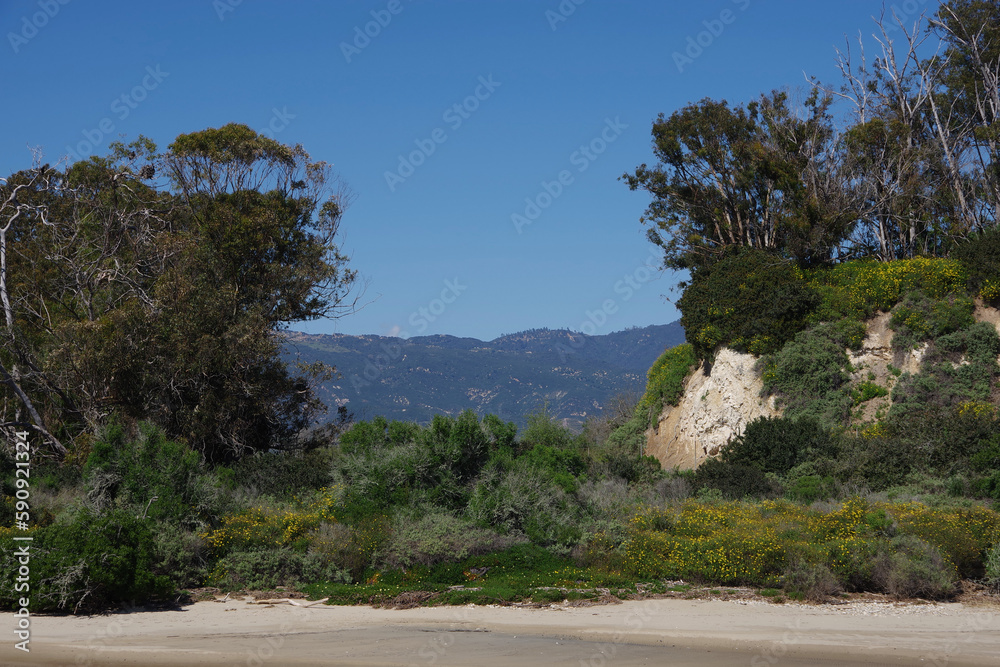 Southern California coastal landscape in spring