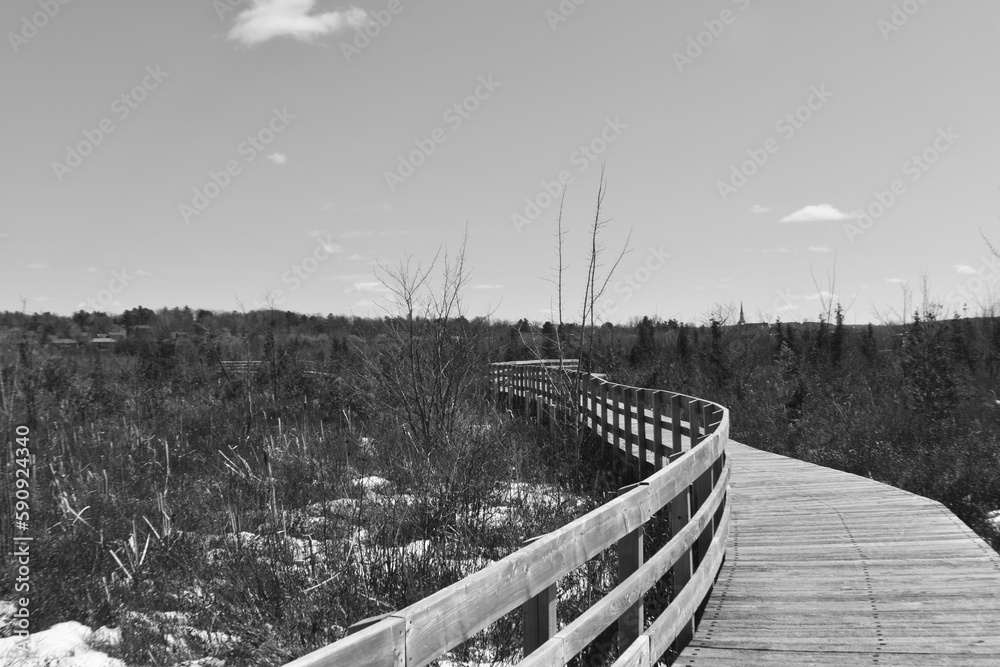 Naklejka premium Marais Aux Cerises Avril 2023 - N&b