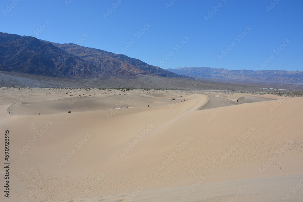 the dune's