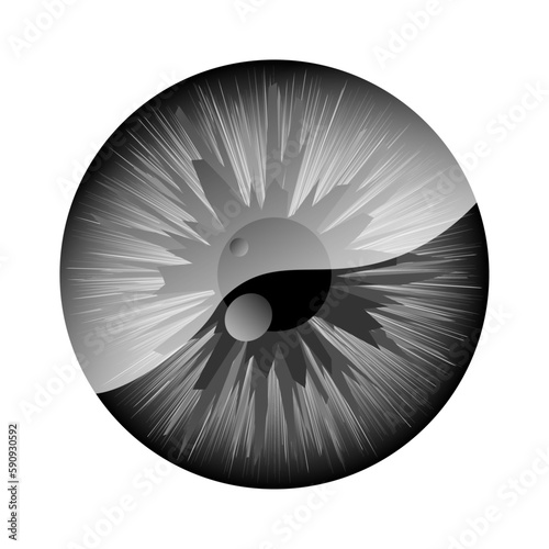 Human eyeball isolated on the white background. Realistic grey vector eye.