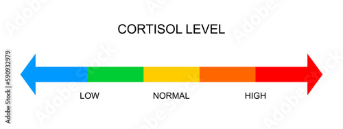 Cortisol meter horizontal scale. Body stress response levels chart from low to high isolated on white background. Vector flat illustration.