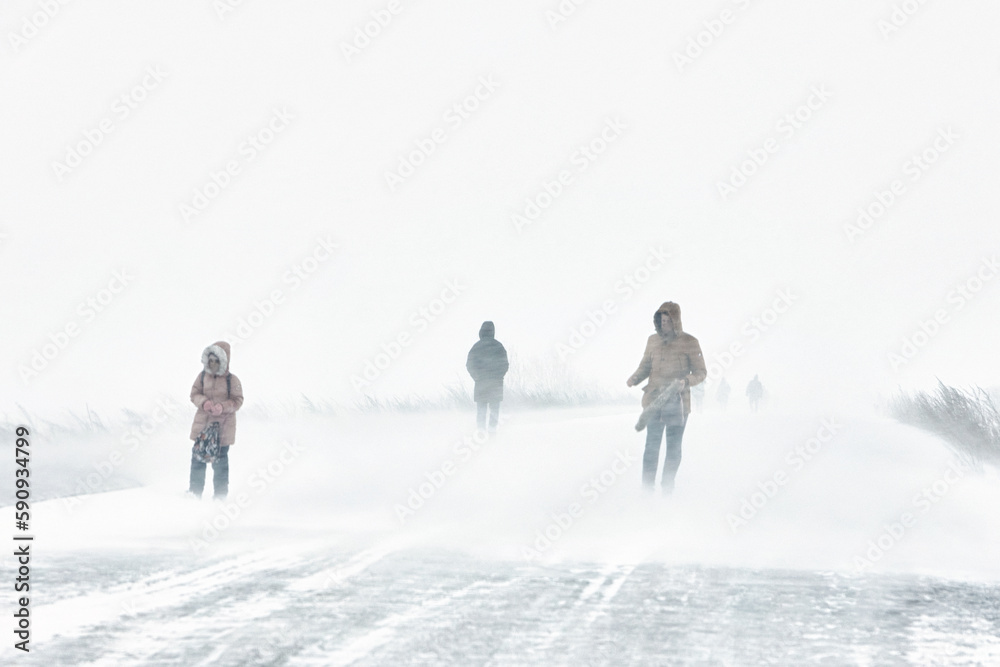 the snowstorm is cold a person has fallen into extreme living conditions is walking along the road through a blizzard in the city, the winter is cold.. the snowstorm is cold a person has fallen into extreme living conditions is walking along the road through a blizzard in the city, the winter is cold..