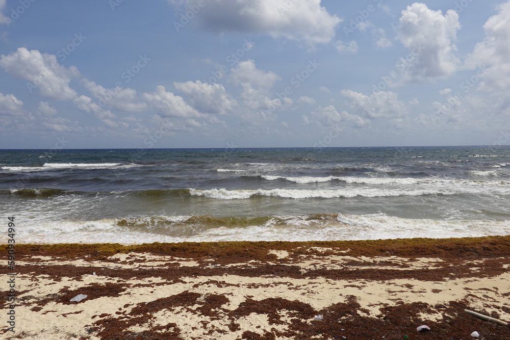 Mexico - Cozumel - Beaches