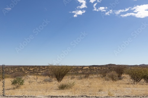 landscape in the rongo region of Namibia photo