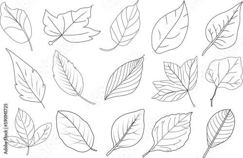 Set of leaves line icons. leaf line icons set. vector illustration