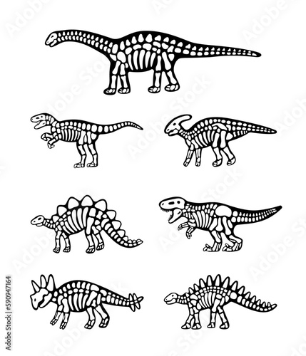Set of dinosaur bones. Triceratops, Tyrannosaurus, Kentrosaurus, Brahiosaurus, Velociraptor, Stegosaurus, Parasaurolophus. Dinosaur bones with skull.