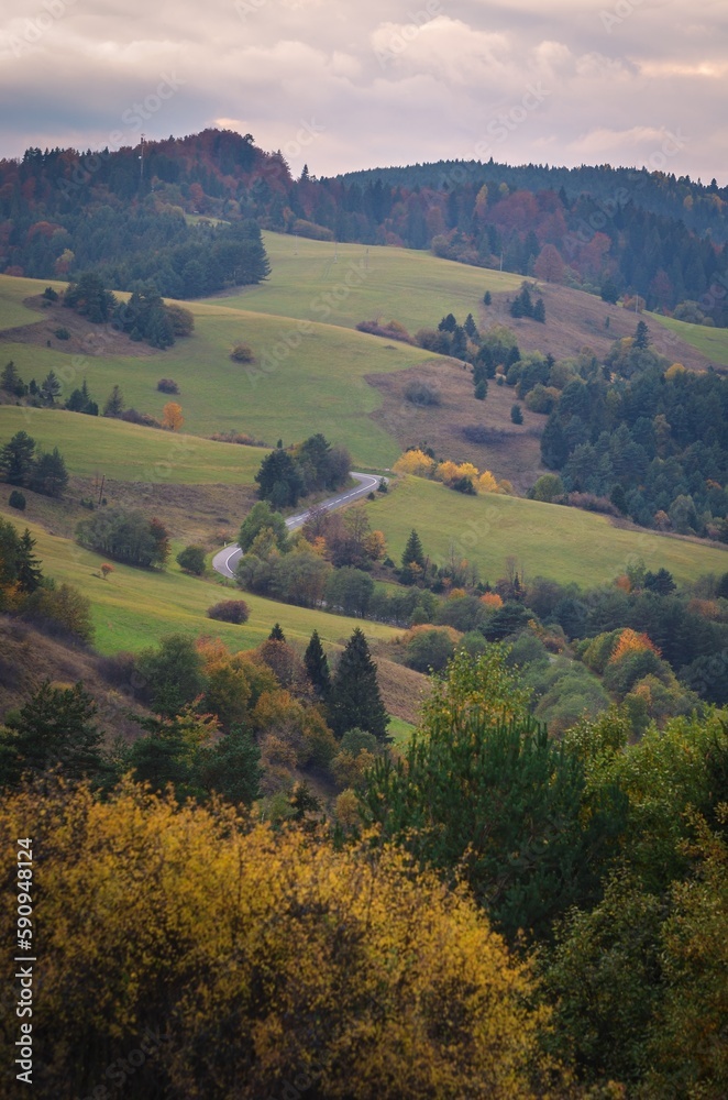 Obraz premium Nice rural autumn landscape with a road in the valley. Photo taken on the way to Wysoki Wierch, Slovakia.