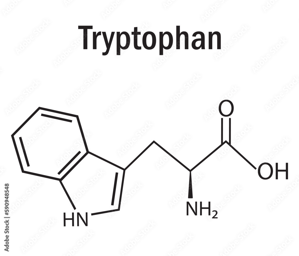 Tryptophan amino acid formula and structure. Chemical molecular formula ...