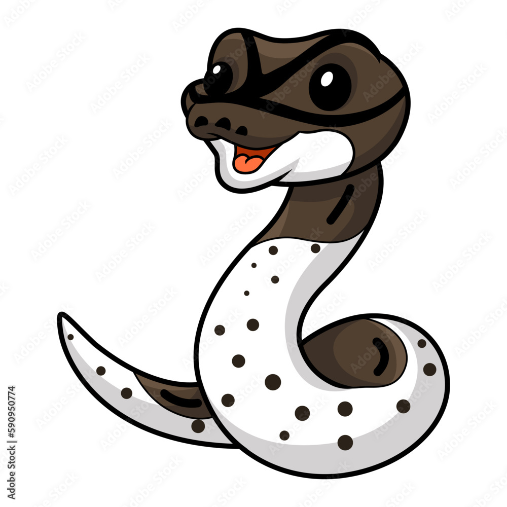 Fototapeta premium Cute oreo pied ball python cartoon