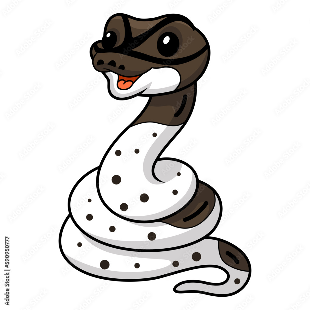 Fototapeta premium Cute oreo pied ball python cartoon