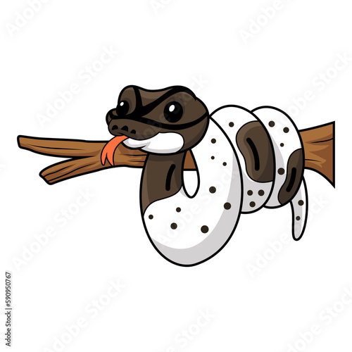 Cute oreo pied ball python cartoon on tree branch