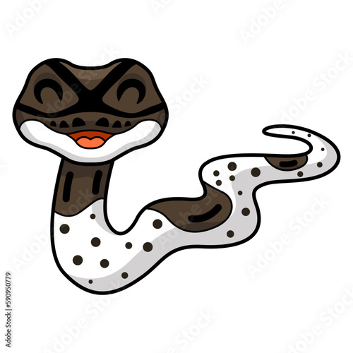 Cute oreo pied ball python cartoon