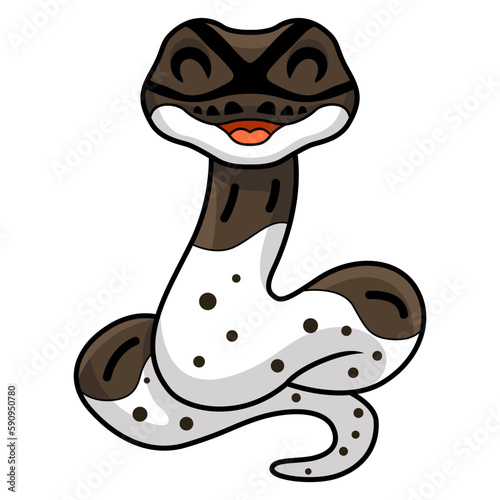 Cute oreo pied ball python cartoon