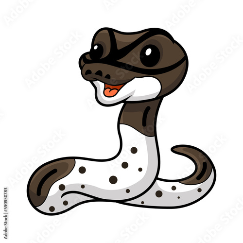 Cute oreo pied ball python cartoon
