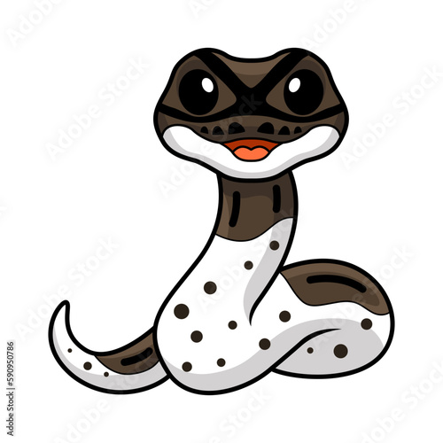 Cute oreo pied ball python cartoon