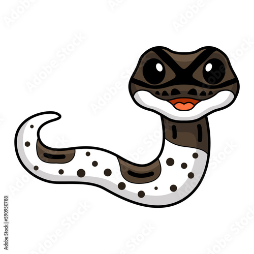 Cute oreo pied ball python cartoon