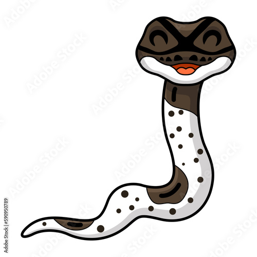 Cute oreo pied ball python cartoon