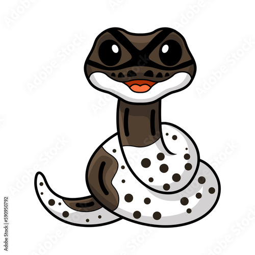 Cute oreo pied ball python cartoon