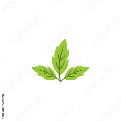 fresh green leaf design vector © Garagephic