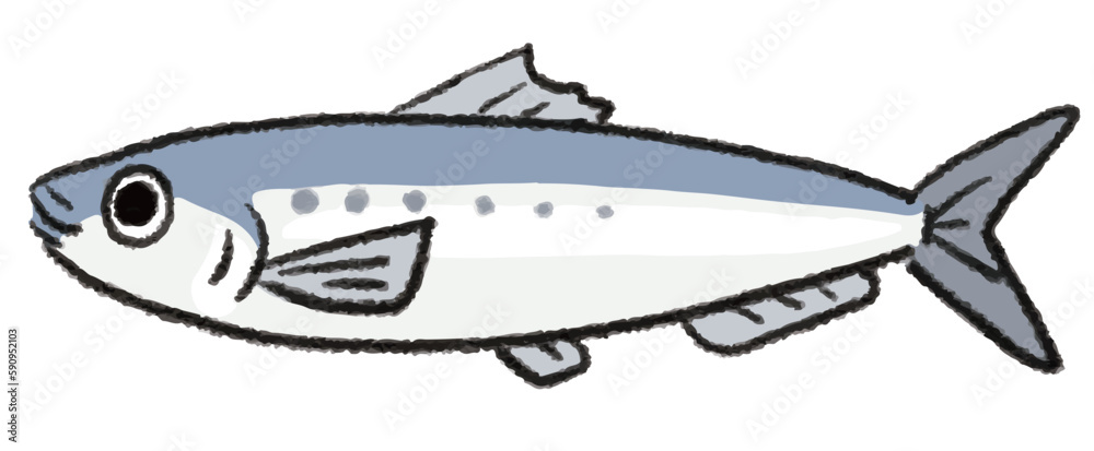 鰯の全身姿、手書きのベクターイラスト 鰯の全身姿、手書きのベクターイラスト