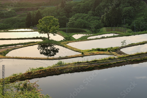 苗植えの頃 photo