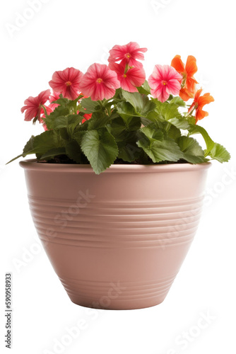 flower in a pot isolated on transparent background, generative ai