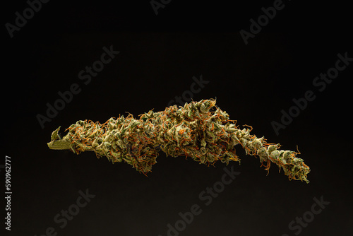 Premium dry cannabis buds against a black background