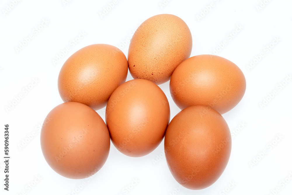 brown chicken egg isolated on white background brown chicken egg isolated on white background
