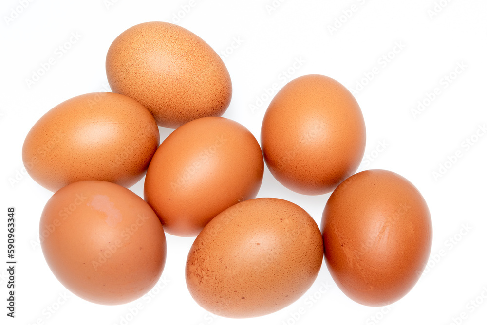 brown chicken egg isolated on white background brown chicken egg isolated on white background