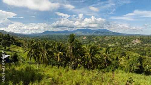 Aerial view of tropical landscape with mountains through palm trees. Negros, Philippines