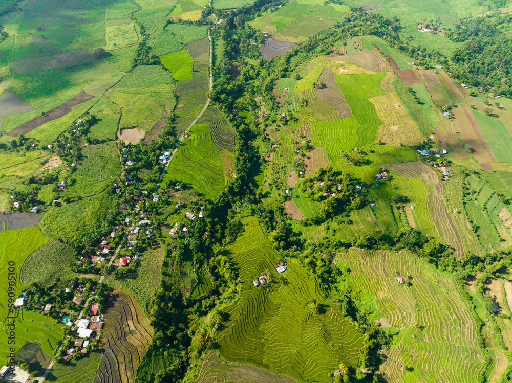 Houses of farmers among rice fields and farmlands. Negros, Philippines.