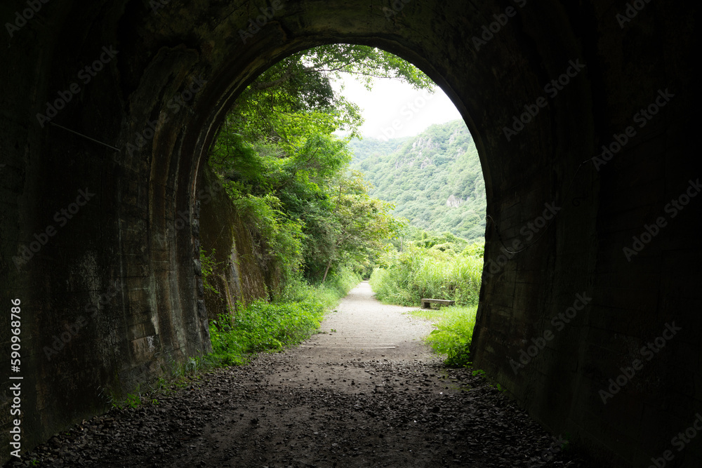 トンネルの出口と新緑の森