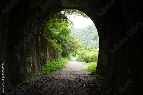 トンネルの出口と新緑の森