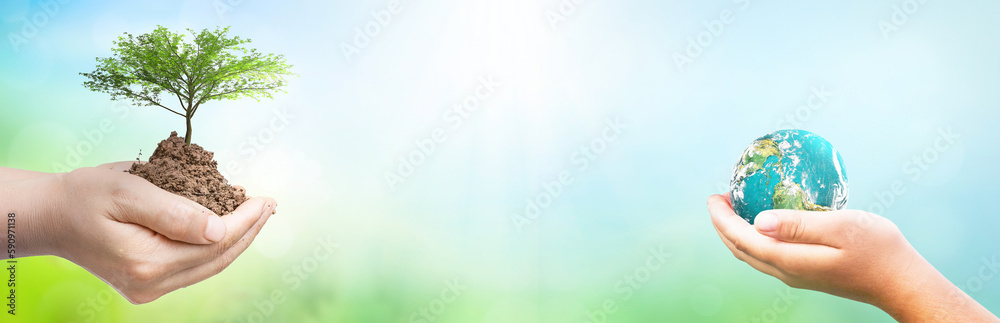 world environment and earth day, Two human hands holding big tree and earth globe over green and blue sky nature background. Elements of this image furnished by NASA world environment and earth day, Two human hands holding big tree and earth globe over green and blue sky nature background. Elements of this image furnished by NASA